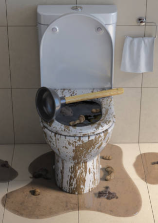 Toilette bouché